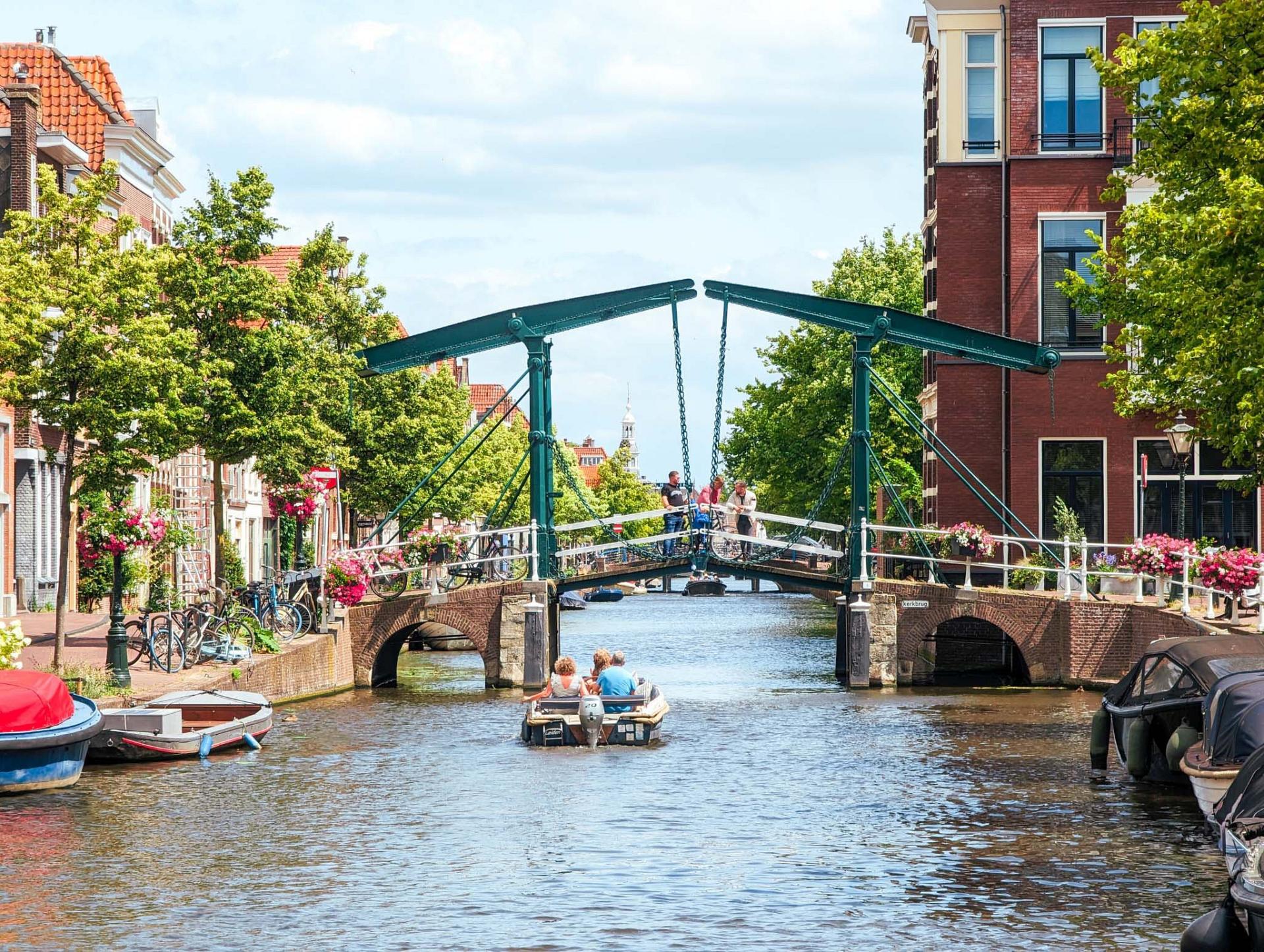 Leiden haardhout